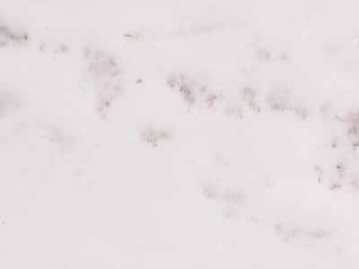Alabama White · Photo des archives Marmi di Carrara