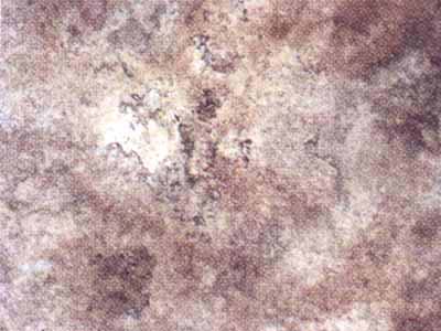 Algonquin Limestone · صورة من أرشيف مارمي دي كارارا
