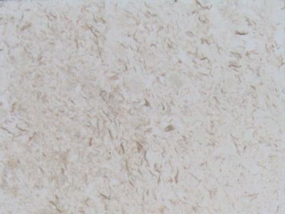 Amelas Fossil · صورة من أرشيف مارمي دي كارارا