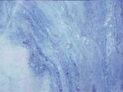 Azul Cielo · Photo des archives Marmi di Carrara