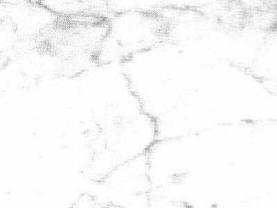 Bianco Carrara Venato Gioia · Photograph from the Marmi di Carrara archive