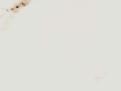 Bianco Spino · Photograph from the Marmi di Carrara archive