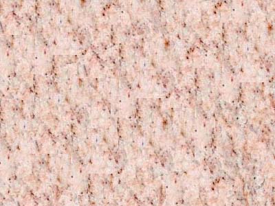 Camelia Pink · صورة من أرشيف مارمي دي كارارا