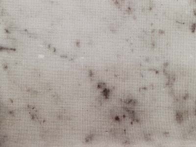 Bianco Carrara D · صورة من أرشيف مارمي دي كارارا