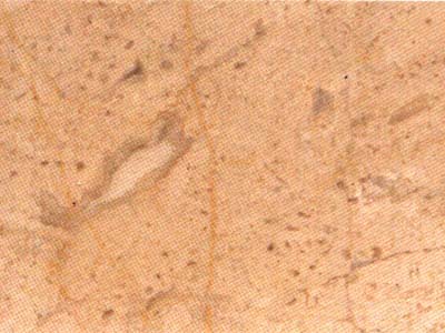 Crema Loja · صورة من أرشيف مارمي دي كارارا