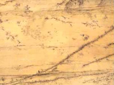 Crema Triana · Foto aus dem Archiv Marmi di Carrara