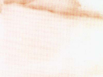 Cremo Delicato · Photograph from the Marmi di Carrara archive