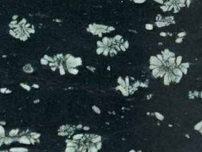 Deep Sea · Photograph from the Marmi di Carrara archive