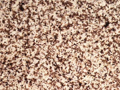 Eitzing · Фото из архива Marmi di Carrara