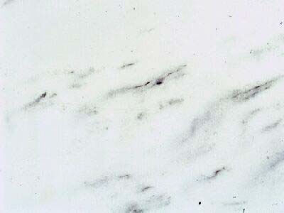 Elafochori Kavalas Semi White · صورة من أرشيف مارمي دي كارارا