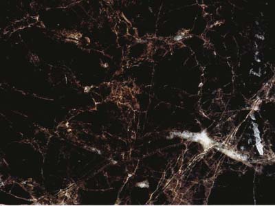 Emperador Oscuro · Foto aus dem Archiv Marmi di Carrara