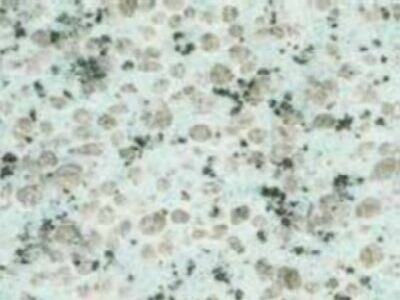 Tyn Shan Blue G 6501 · صورة من أرشيف مارمي دي كارارا