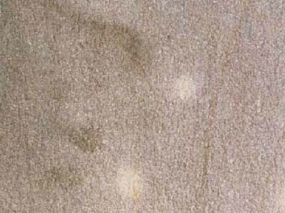 Gritstone · Photograph from the Marmi di Carrara archive