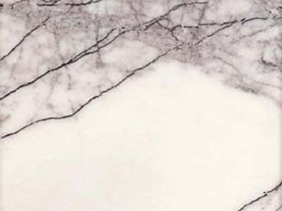 Indian Lilac · صورة من أرشيف مارمي دي كارارا