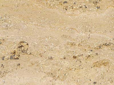 Jura Beige banded · Foto aus dem Archiv Marmi di Carrara
