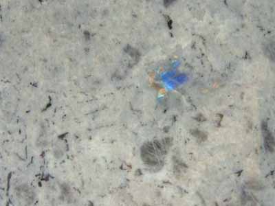 Labradorite Bianca · Photo des archives Marmi di Carrara