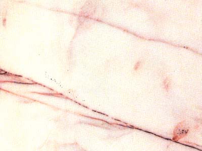 Rosa Salmon · Photograph from the Marmi di Carrara archive