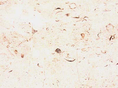 M 5326 · Фото из архива Marmi di Carrara