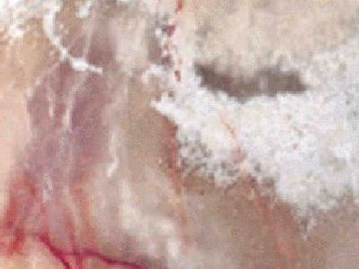 Onyx Medium · Foto aus dem Archiv Marmi di Carrara