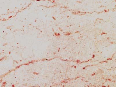 Perlato Sicilia F · Foto aus dem Archiv Marmi di Carrara