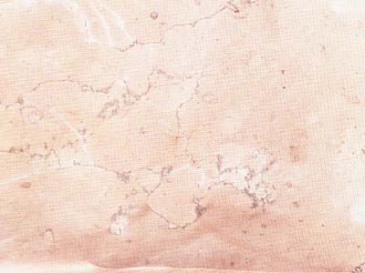 Rosa Perlino · Photograph from the Marmi di Carrara archive