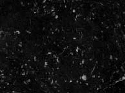 Black Porphyry · صورة من أرشيف مارمي دي كارارا