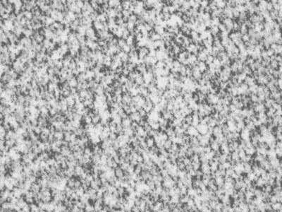 Real Grey · Фото из архива Marmi di Carrara