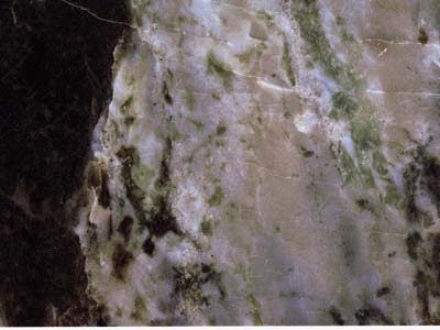Saga Green · Photo des archives Marmi di Carrara