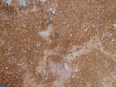 T 107 · Фото из архива Marmi di Carrara