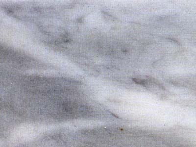 Trambiserra · Foto aus dem Archiv Marmi di Carrara