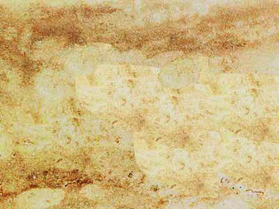 Travertino Iberico · Photo des archives Marmi di Carrara