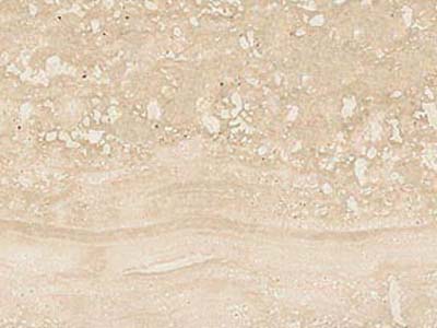 Travertino Romano · صورة من أرشيف مارمي دي كارارا