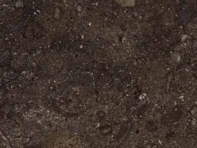 Champlain Black Marble · Photo des archives Marmi di Carrara